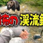 【釣り】初めての渓流でクマさんに出会った...【恐怖体験】