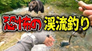 【釣り】初めての渓流でクマさんに出会った...【恐怖体験】