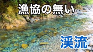 【渓流釣り】漁協の無い川に渓魚は居るのか