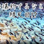 暑い夏でも爆釣出来る秘境的な管理釣り場。【うらたんざわ渓流釣り場】【エリアトラウト】