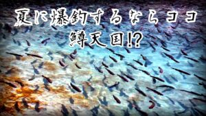 暑い夏でも爆釣出来る秘境的な管理釣り場。【うらたんざわ渓流釣り場】【エリアトラウト】
