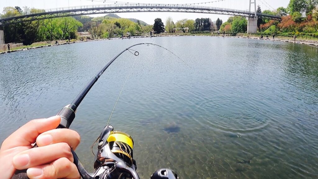 有名な管理釣り場は初めての人でもめっちゃ釣れる【エリアトラウト　川場フィッシングプラザ　管釣り】