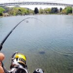 有名な管理釣り場は初めての人でもめっちゃ釣れる【エリアトラウト　川場フィッシングプラザ　管釣り】