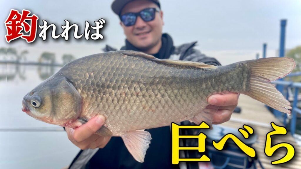 滅多に釣れない公園の野池で奇跡的に巨ベラを釣り上げた！【近藤沼　へらぶな釣り】