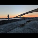 急遽浜名湖青物セットアッパー情報📢