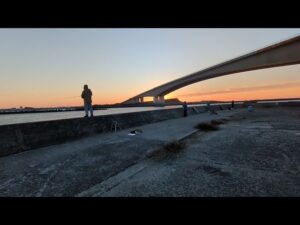 急遽浜名湖青物セットアッパー情報📢