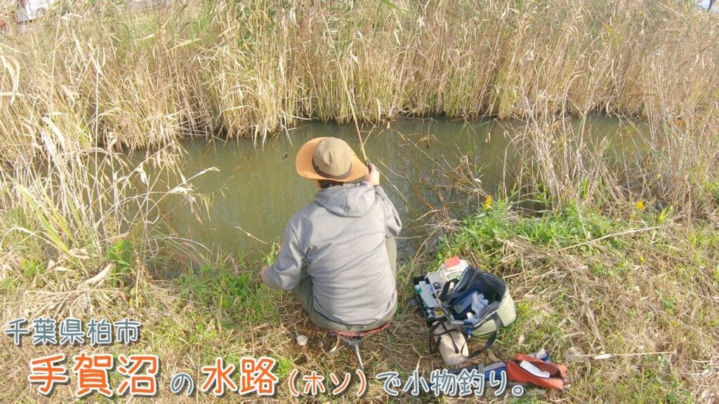 やっぱり秋は手賀沼の水路でしょ！  千葉県柏市 手賀沼の水路（ホソ）で小物釣り。