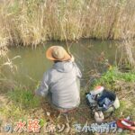 やっぱり秋は手賀沼の水路でしょ！  千葉県柏市 手賀沼の水路（ホソ）で小物釣り。