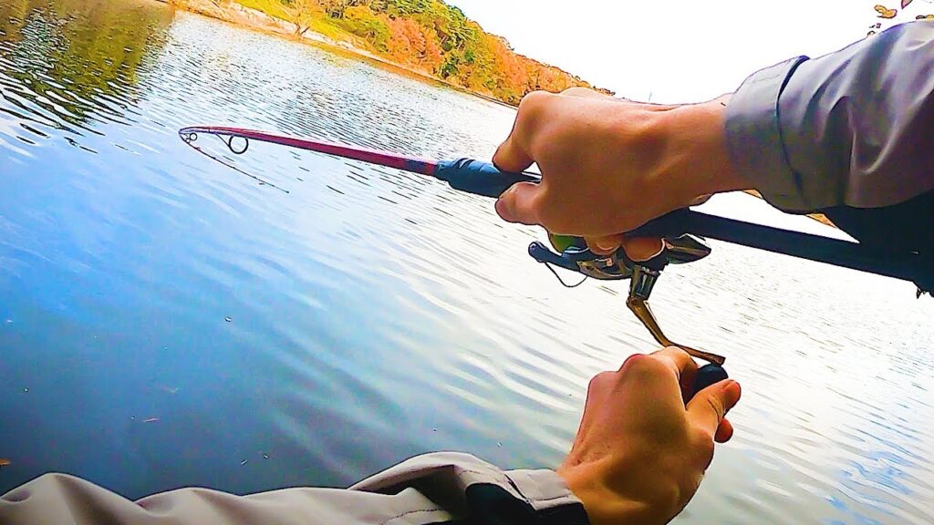 県内１釣れない沼でヤバいほど釣れちゃった