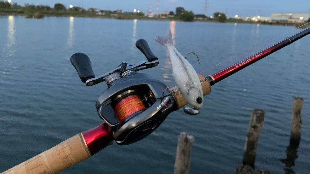 柴山沼でバス釣り！【興奮のガルバイブ！】