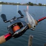 柴山沼でバス釣り！【興奮のガルバイブ！】