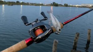 柴山沼でバス釣り！【興奮のガルバイブ！】