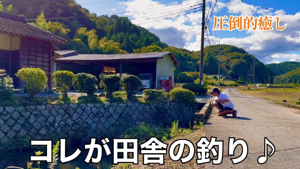 コレが田舎の川釣り！里山で釣れる魚はデカくて美味い🤤