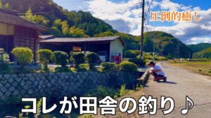 コレが田舎の川釣り!里山で釣れる魚はデカくて美味い🤤