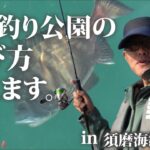 【須磨海づり公園】何魚種釣れる⁉海釣り公園の遊び方教えます！