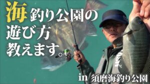 【須磨海づり公園】何魚種釣れる⁉海釣り公園の遊び方教えます!