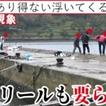 竿も仕掛けも要らない春先の堤防は無数の大型魚が掬いたい放題【異常現象】