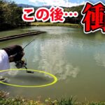 何をしても食わない巨大魚の前にこのルアーを落とすとまさかの一撃…【エリアトラウト・管理釣り場・ハートデザイン・ガリバーフィッシングガーデン】