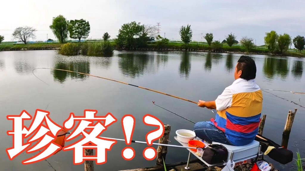 秋の柴山沼で珍しい魚が釣れたので見てほしい