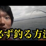 浜名湖でアジ釣って泳がせ釣りしたけど苦戦…あきら流🔥必釣メソッドとは？