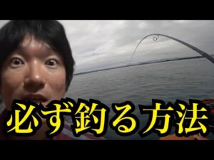 浜名湖でアジ釣って泳がせ釣りしたけど苦戦…あきら流🔥必釣メソッドとは?