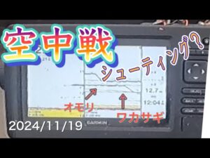 空中戦！　バーチカルシューティング？#ワカサギ釣り #桧原湖ワカサギ釣り #シマノ #レイクマスター #やまぐっち