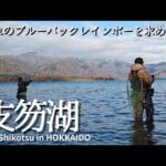 【支笏湖】青く輝くニジマスがいると聞いたので、釣りに行ってみました。【北海道釣り】