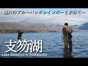 【支笏湖】青く輝くニジマスがいると聞いたので、釣りに行ってみました。【北海道釣り】