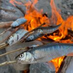 釣った魚を焚き火でいただく