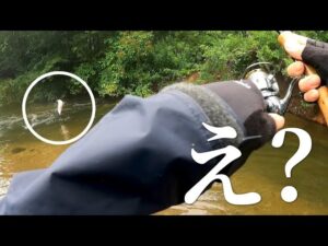 【渓流釣り】バケモノいたぁ…こんなデカい奴は見たことない