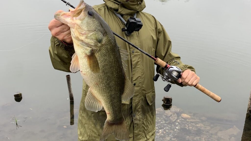 柴山沼でバス釣り！【バケモン来た！】
