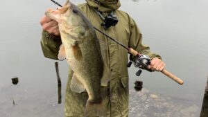 柴山沼でバス釣り！【バケモン来た！】