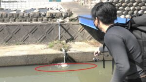 外来種しかいないドブ川で釣りをした結果...