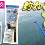 ダイソーの釣り竿セットで海釣りに挑戦した結果...