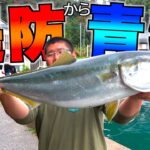 堤防ショアジギングで巨大ブリが釣れた！！