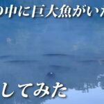 温泉の中で釣りしたらとんでもないことが起きました【湯の湖・エリアトラウト・管理釣り場・ハートデザイン】