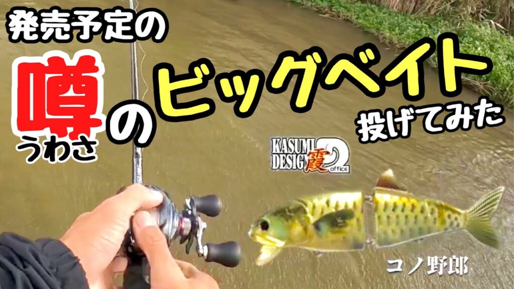 【霞ヶ浦&上野沼】秋の釣り🎣