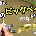 【霞ヶ浦&上野沼】秋の釣り🎣