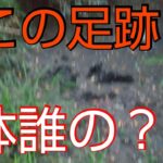 【バス釣り】【竹沼】早朝デカバス狙うも、夕方結局ボウズ逃れに走る男
