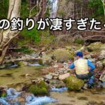 【渓流釣り】天然イワナ大爆釣。まるで忍者な父の釣りが最強すぎた。