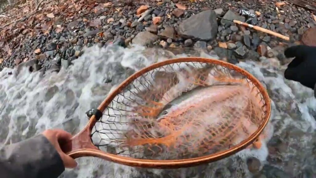 支笏湖釣行　綺麗なニジマスでした。＃シコバカ＃シコバカの釣りチャンネル＃支笏湖釣り＃支笏湖ルアー