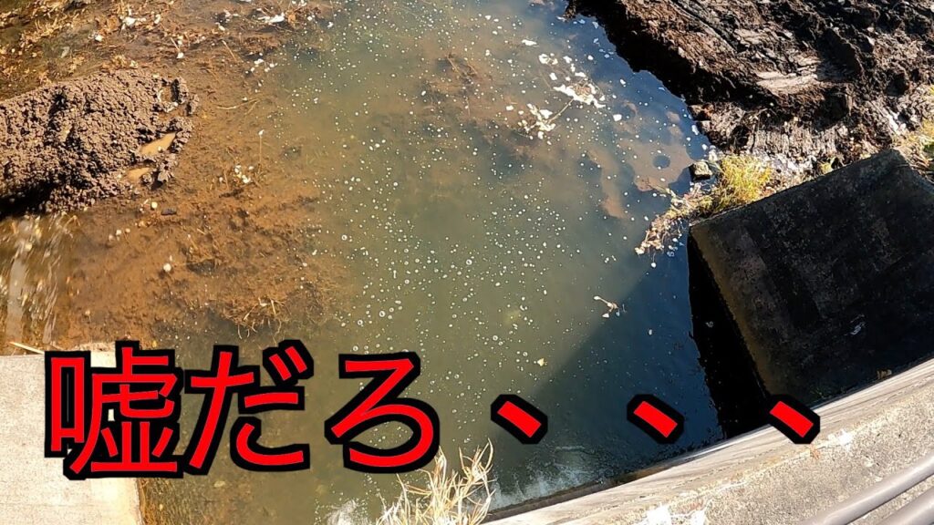 川の最終ポイントが潰されて、、、#釣り ＃渓流