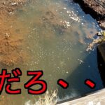 川の最終ポイントが潰されて、、、#釣り ＃渓流
