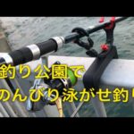 海釣り公園で、のんびり泳がせ釣り！