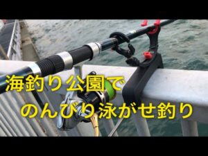 海釣り公園で、のんびり泳がせ釣り！