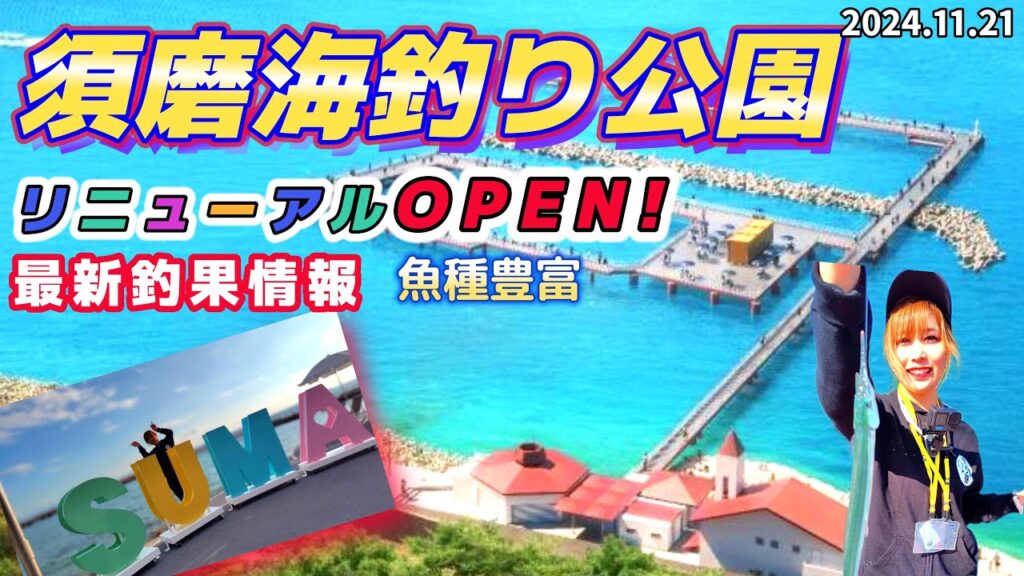 【須磨海釣り公園】ジャンボサヨリなどいろんな魚種が釣れてます！グルメやフォトスポットなども目白押し！