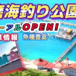 【須磨海釣り公園】ジャンボサヨリなどいろんな魚種が釣れてます！グルメやフォトスポットなども目白押し！