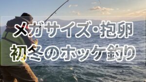 日本海初冬のホッケ釣り