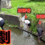 食材求めて川に入ったら最悪な生物に襲われた！！