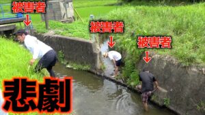 食材求めて川に入ったら最悪な生物に襲われた！！